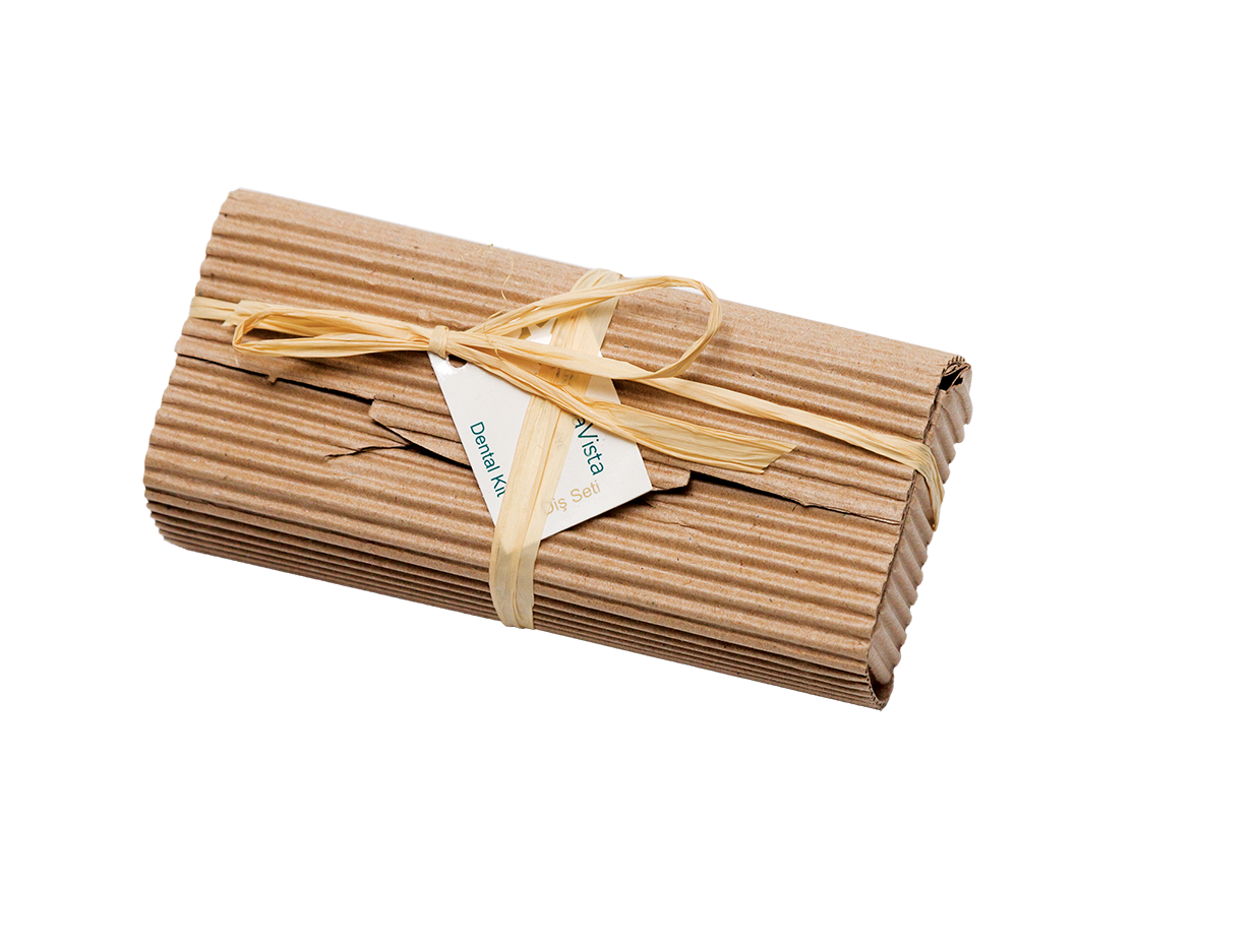 Diş Fırçası | DŞ 11